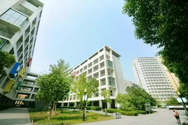 合肥9区的顶级学区,合肥市学区房价格