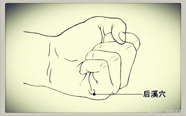 按哪个穴位可以提高免疫力,提高免疫力哪个穴位最有效