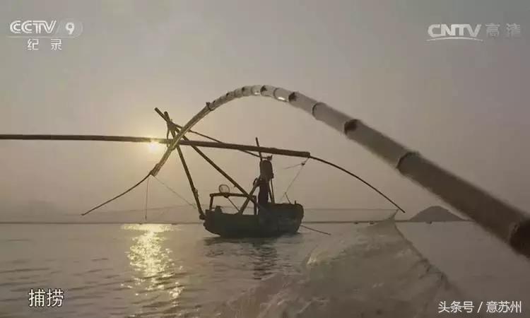 舌尖上的中国之麻辣小海鲜,舌尖上的中国小海鲜