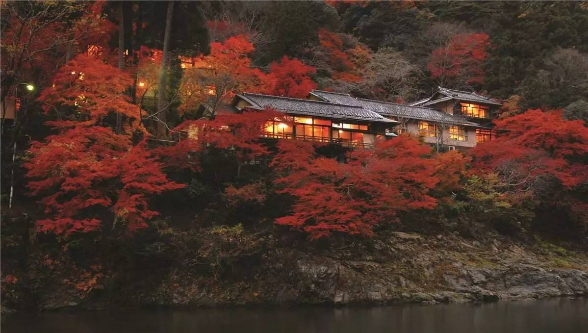 种草志|800年历史风华的京都四季,顺便告诉你京都怎么住