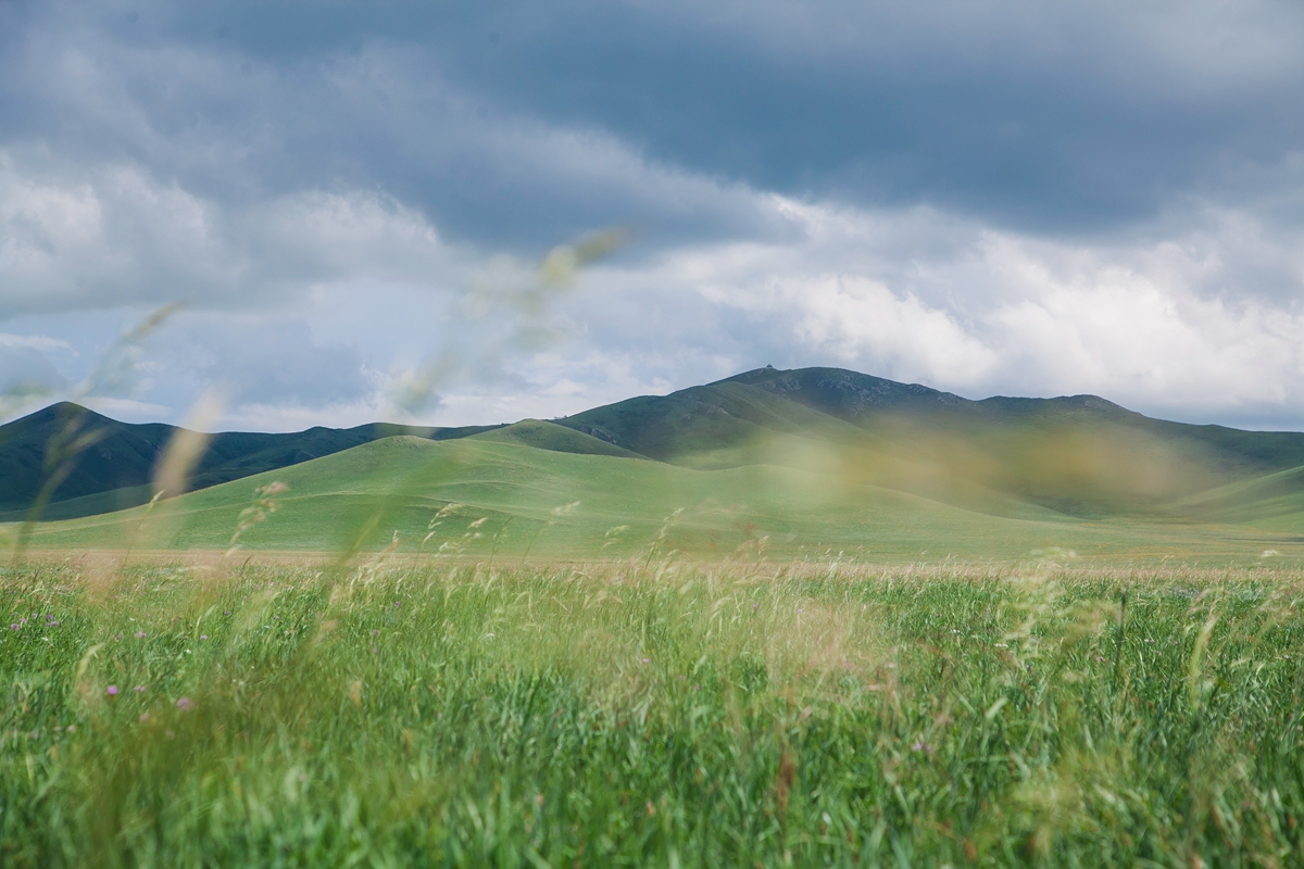 去内蒙古必须要知道什么知识,为什么那么多人去内蒙