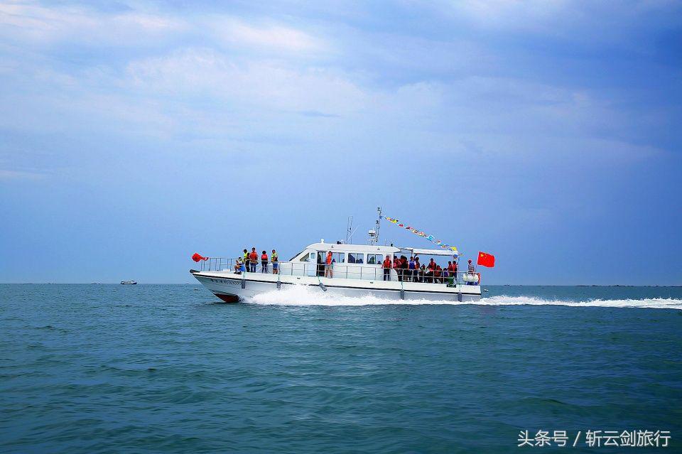 荣成烟墩角天鹅拍摄机位,世界最大天鹅