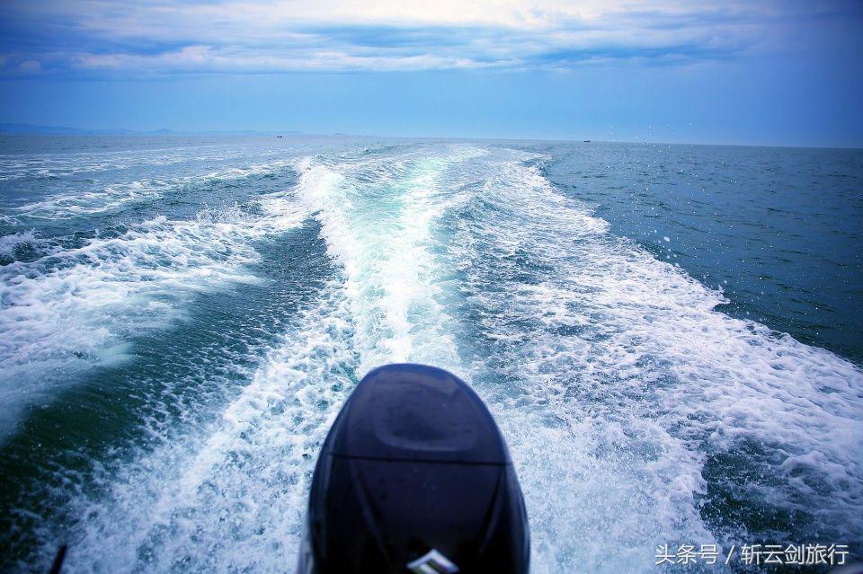 荣成烟墩角天鹅拍摄机位,世界最大天鹅