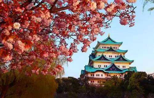 名古屋最近的机场,日本名古屋机场旅游攻略