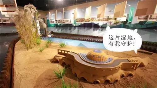 开学前最后一次狂欢,开学前最后一期视频