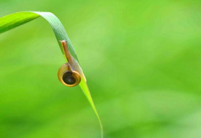 如何确定绩效考核的指标和内容,有哪些方法可以确定绩效考评权重