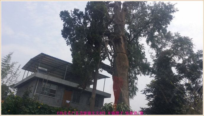 西安古村解密：西安市鄠邑区苍游镇文义村！