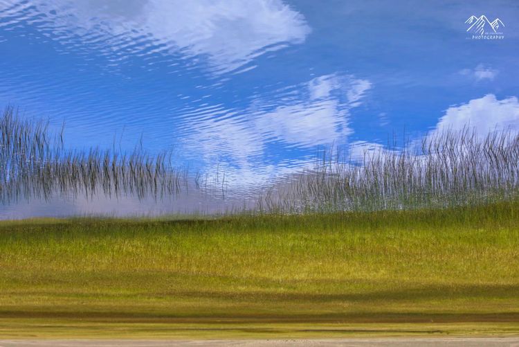 在最美的时光遇见你散文,在最美的时光遇见最美的你