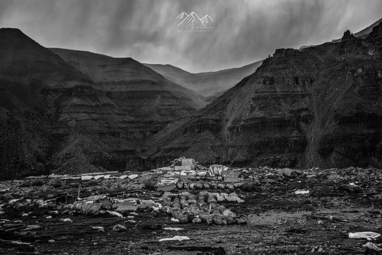 在最美的时光遇见你散文,在最美的时光遇见最美的你