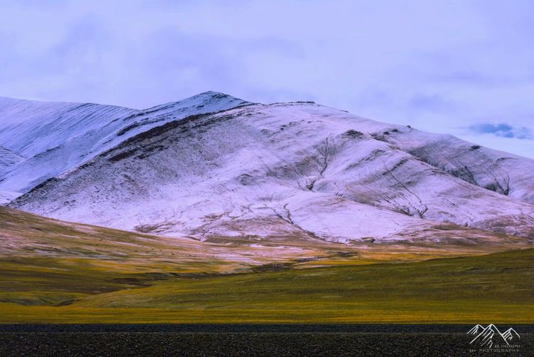 在最美的时光遇见你散文,在最美的时光遇见最美的你