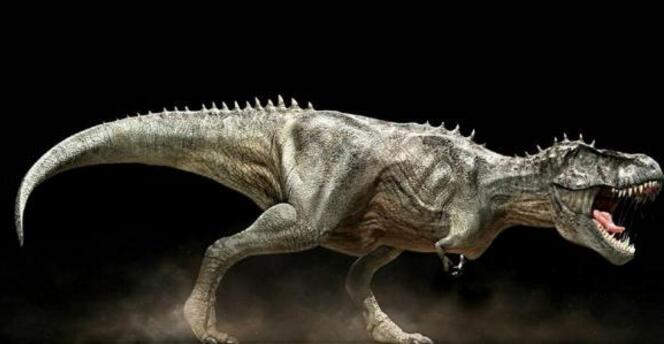 不同年代科学家推测恐龙的样子,恐龙的历史上有多少种类