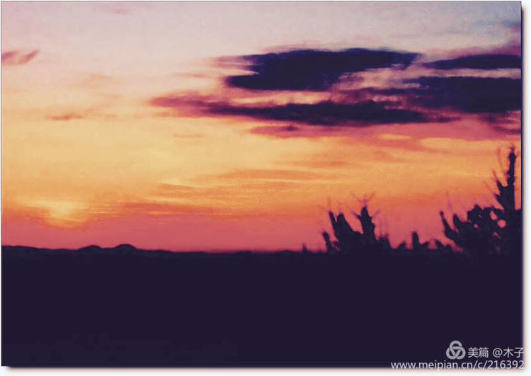 一花一叶总关情,一辆单车游古城,美哉正定!