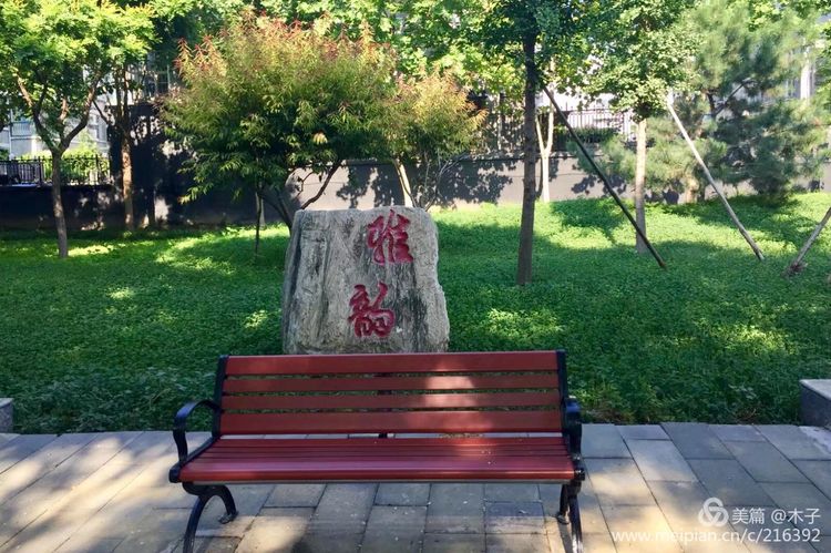 一花一叶总关情,一辆单车游古城,美哉正定!