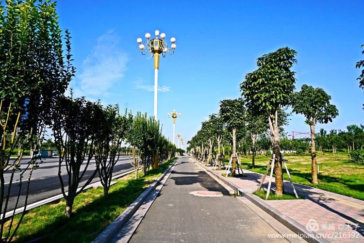 一花一叶总关情,一辆单车游古城,美哉正定!