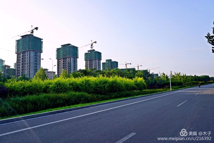 一花一叶总关情,一辆单车游古城,美哉正定!