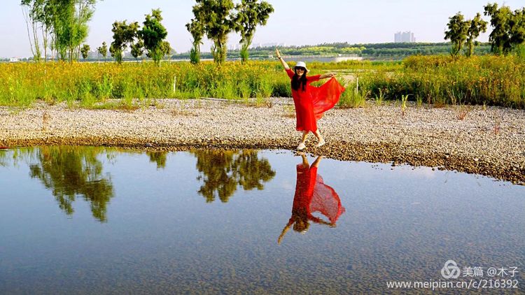 一花一叶总关情,一辆单车游古城,美哉正定!