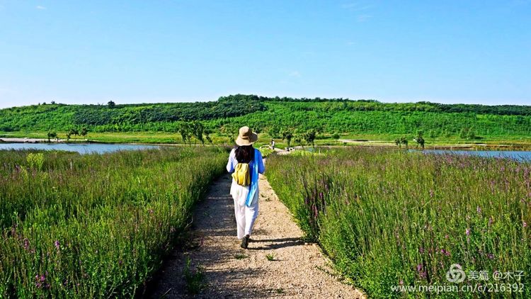 一花一叶总关情,一辆单车游古城,美哉正定!
