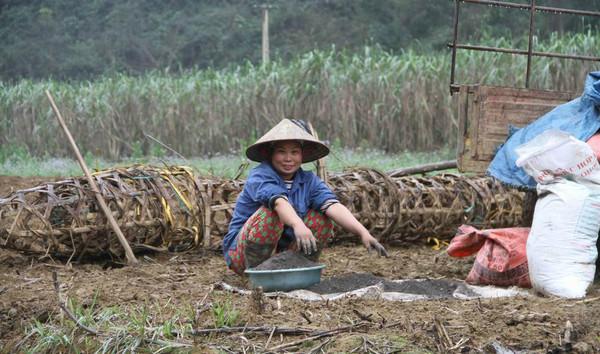中越边境，越南女人来中国打工，越南男人戴绿帽子干活