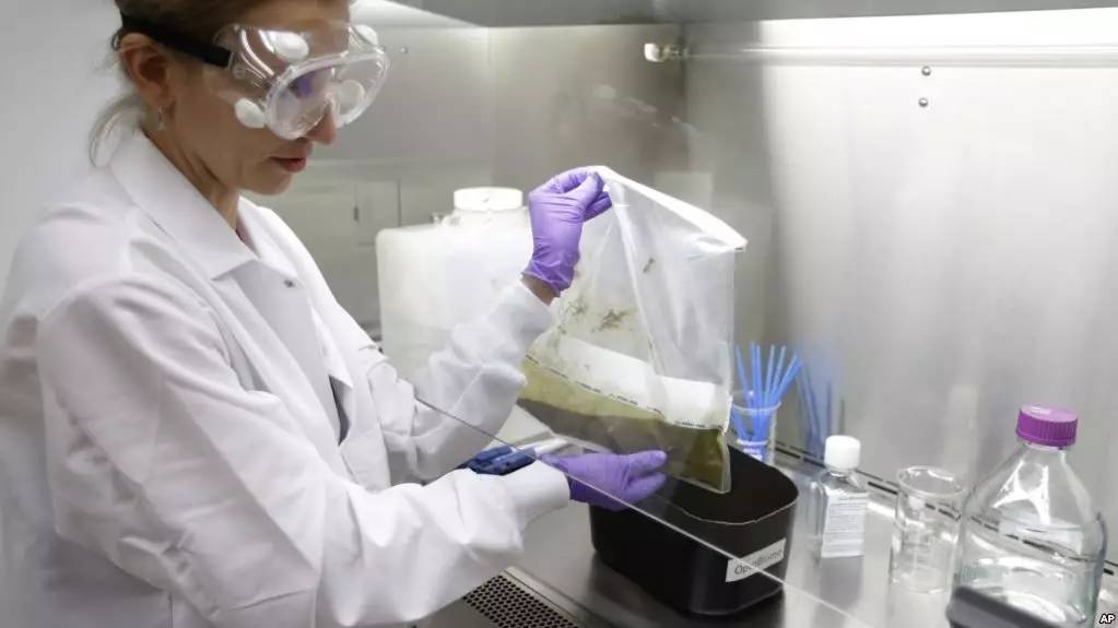 你狠心冲掉的便便，正成为许多肠胃病人的救星