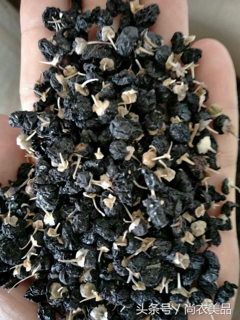 兰州黑枸杞有什么功效,新疆柴达木盆地的黑枸杞