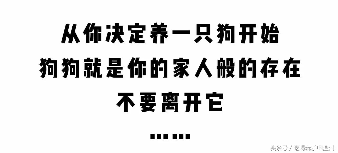 爱狗如命的女孩是什么心理,爱狗如命的女主角
