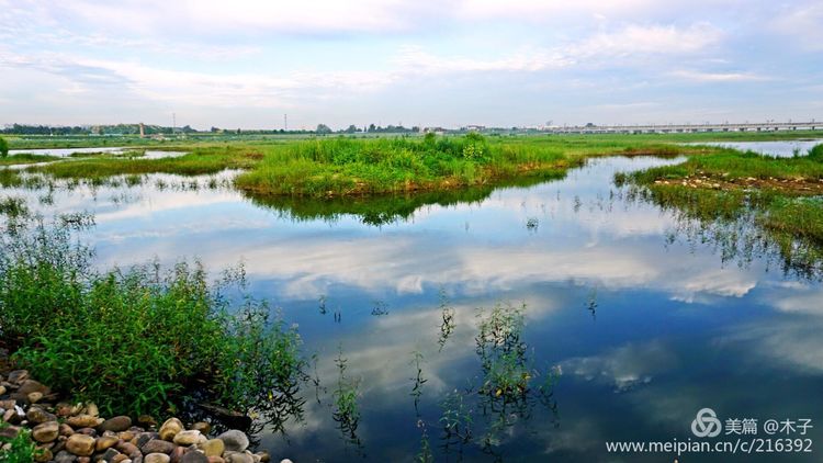 一花一叶总关情,一辆单车游古城,美哉正定!