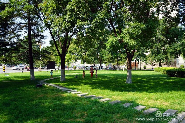 一花一叶总关情,一辆单车游古城,美哉正定!