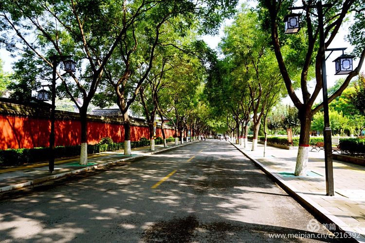 一花一叶总关情,一辆单车游古城,美哉正定!