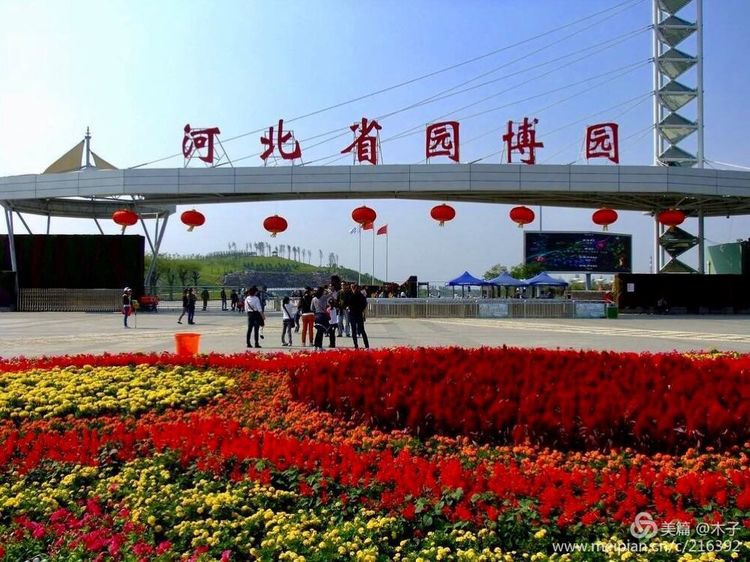 一花一叶总关情,一辆单车游古城,美哉正定!