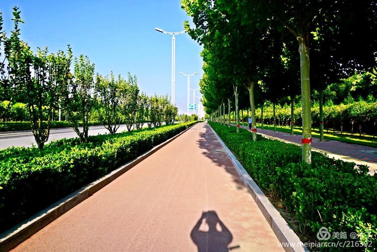 一花一叶总关情,一辆单车游古城,美哉正定!