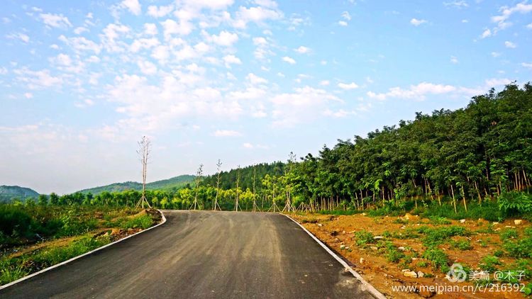 一花一叶总关情,一辆单车游古城,美哉正定!