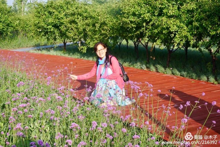 一花一叶总关情,一辆单车游古城,美哉正定!