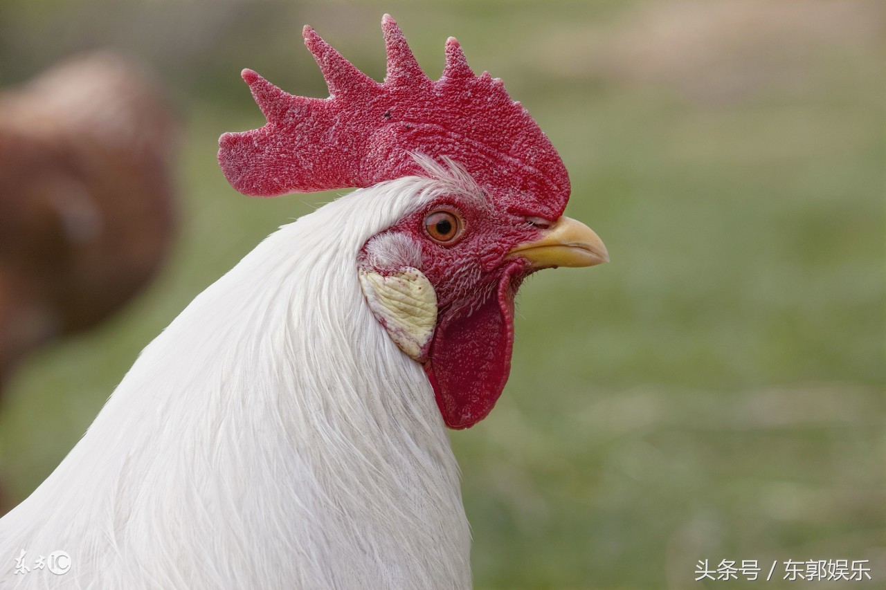 让人无语的知识小妙招,让人无语的常识