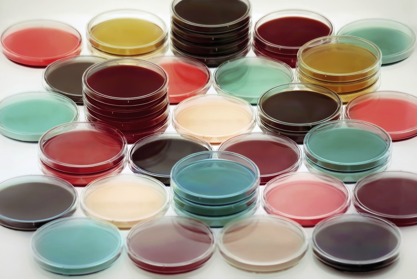 你狠心冲掉的便便，正成为许多肠胃病人的救星