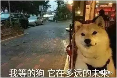 有一种审美,叫男友送的礼物