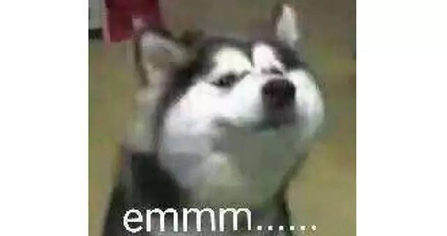 gucci袜子贵吗,gucci刀锋鞋子