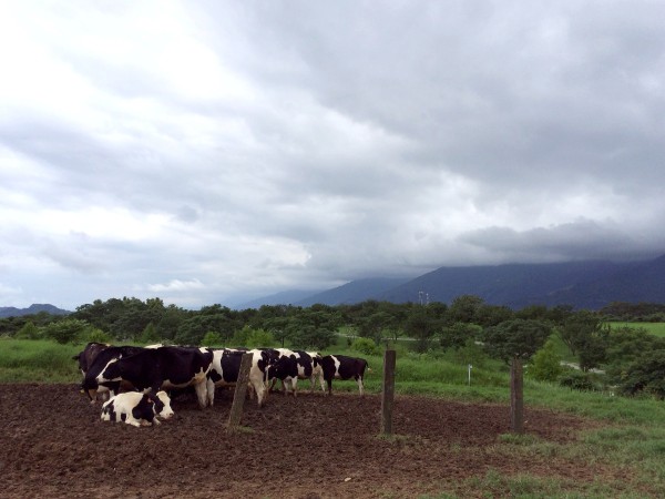 去台湾有哪些好玩的地方啊,去台湾玩有什么好玩的
