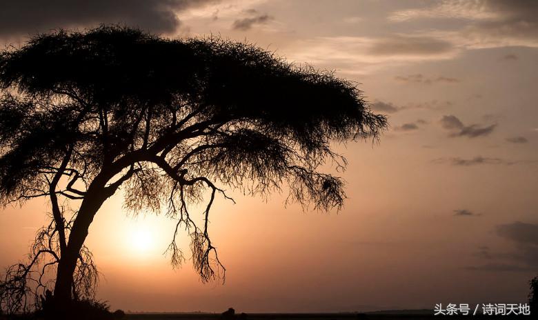 当诗人有了相思病，除却心上人，哪个能治？