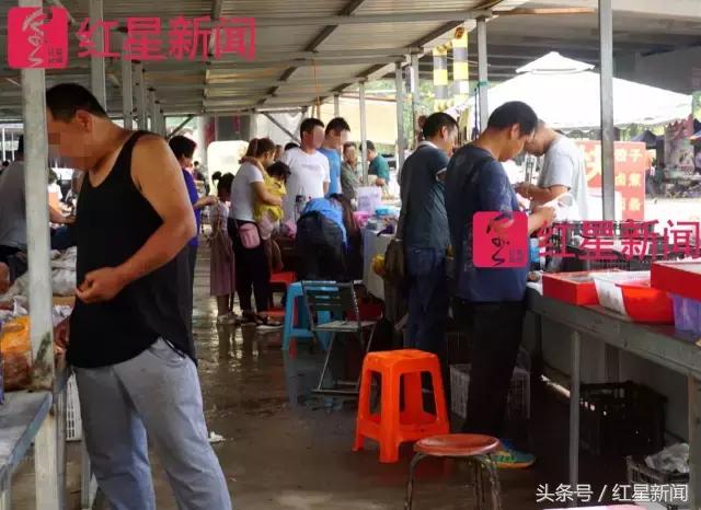 真相调查:文玩核桃再步玛卡后尘?从几万元一对到5元没人要?