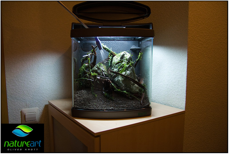 ada水草1.5米缸造景教程,oliverknott是什么