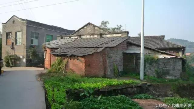 梁中与红中曾合校办学多年~两校原是亲生血缘关系