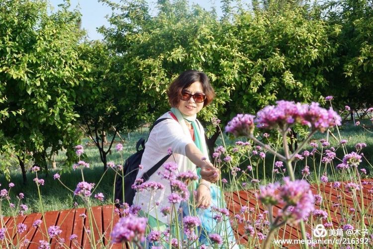 一花一叶总关情,一辆单车游古城,美哉正定!