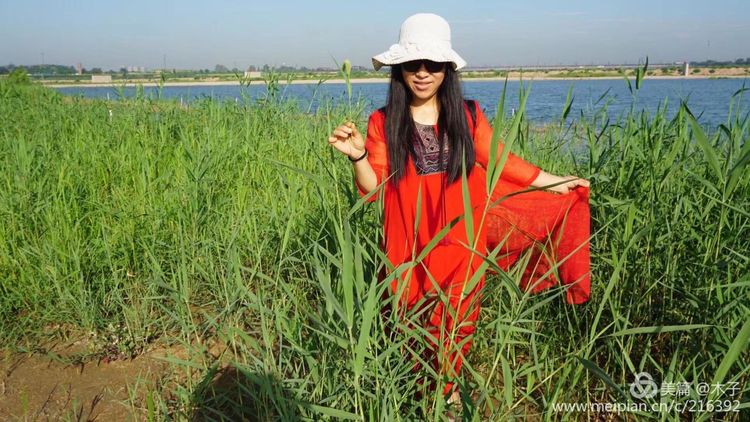 一花一叶总关情,一辆单车游古城,美哉正定!