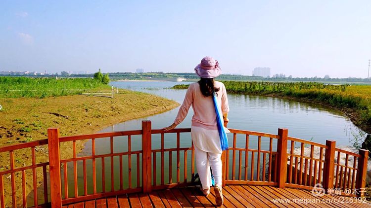 一花一叶总关情,一辆单车游古城,美哉正定!