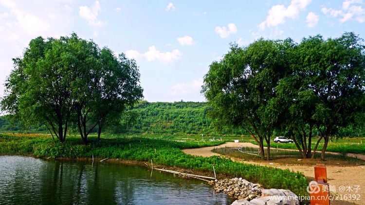 一花一叶总关情,一辆单车游古城,美哉正定!