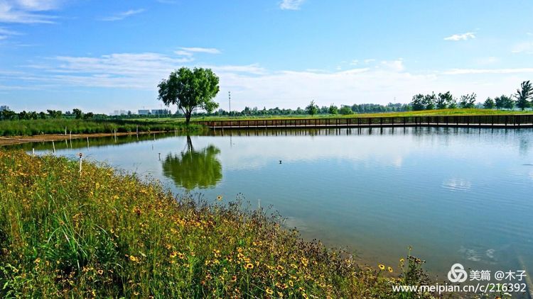 一花一叶总关情,一辆单车游古城,美哉正定!