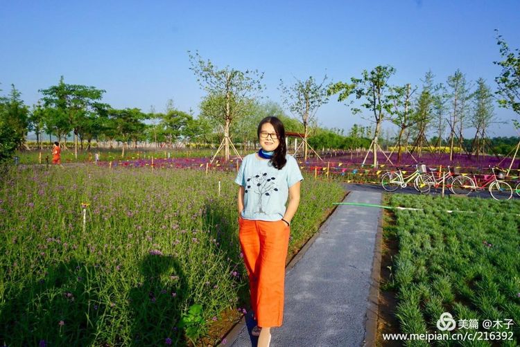 一花一叶总关情,一辆单车游古城,美哉正定!