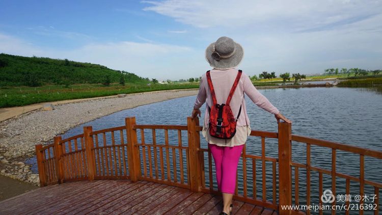 一花一叶总关情,一辆单车游古城,美哉正定!