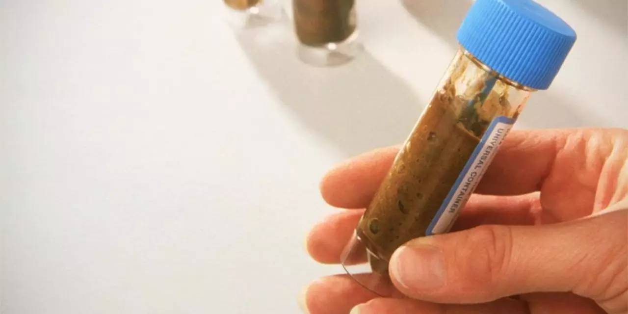 你狠心冲掉的便便，正成为许多肠胃病人的救星