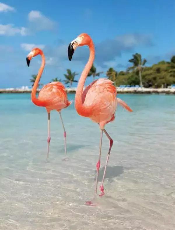 去旅游拍的风景照怎么发朋友圈,怎么给朋友圈的旅游照点评